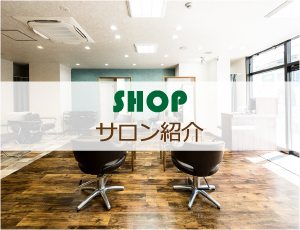 salon-i.png(110752 byte)